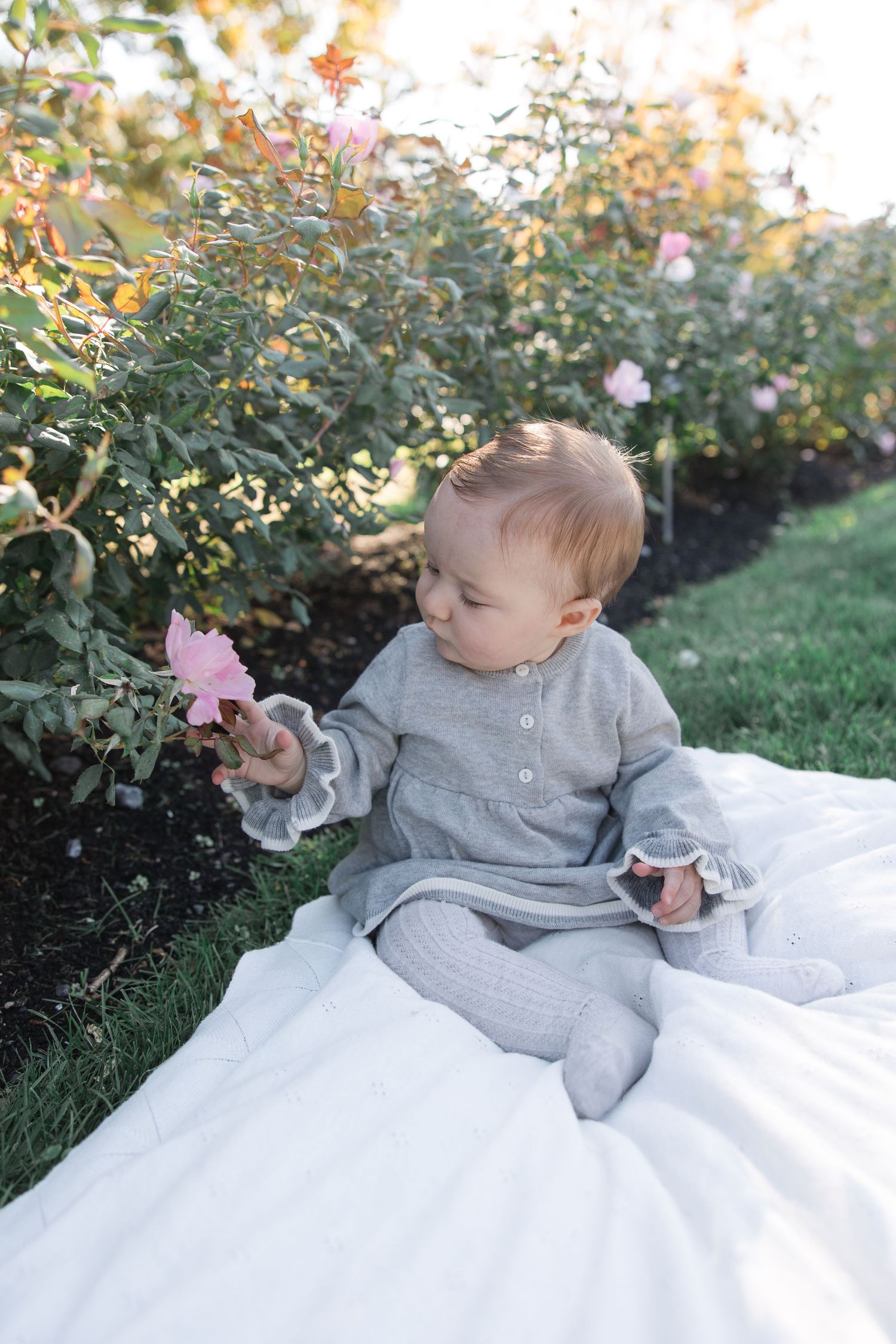 A small child in a gray outfit sits on a white blanket in a garden, gently holding a pink flower.