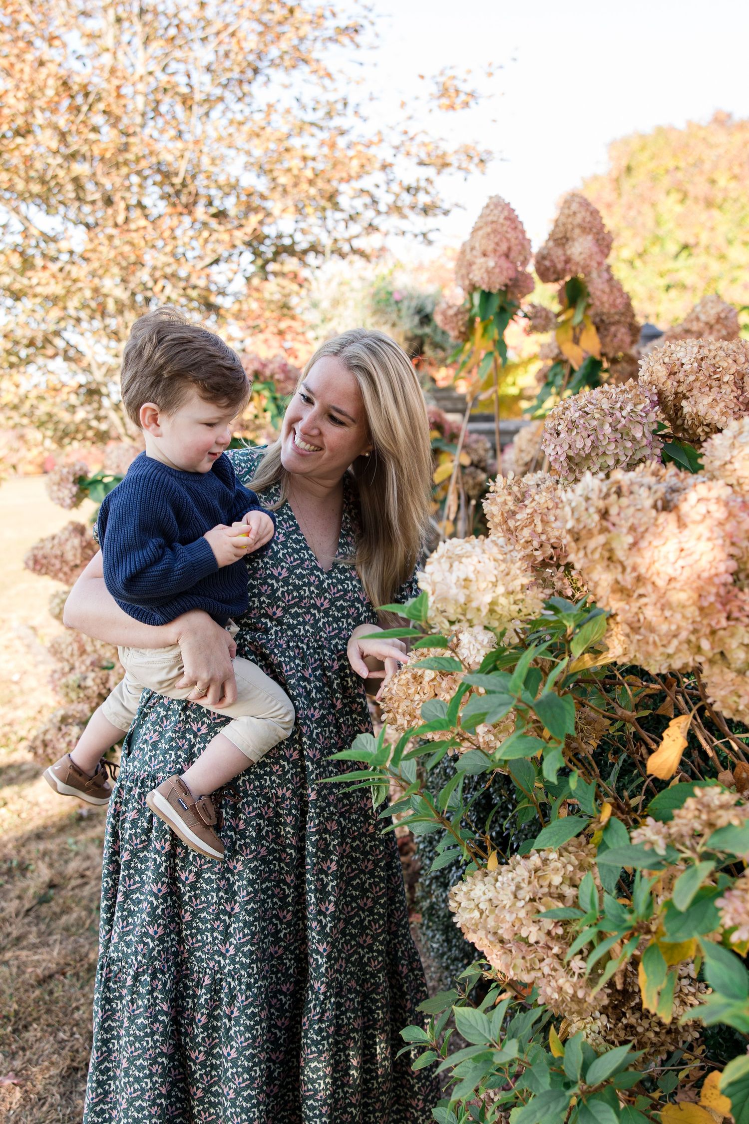 Parent and child share joyful moments together outdoors during autumn among dried hydrangea blooms.