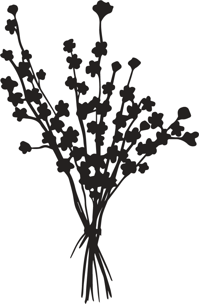 Black silhouette illustration of wildflower bouquet bunch.