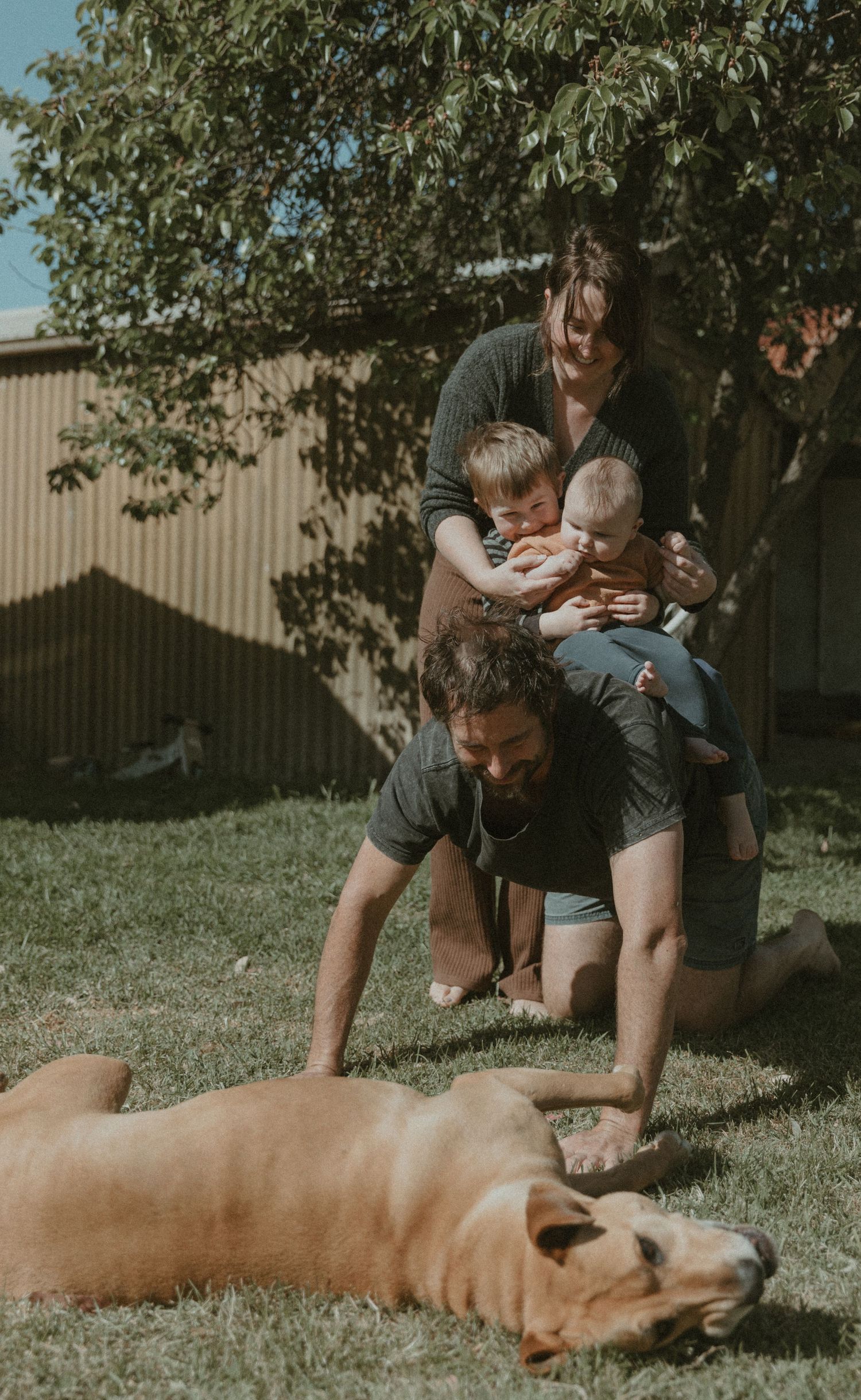Family playfully interacting in backyard with dog lying on grass. Kangaroo Island.
