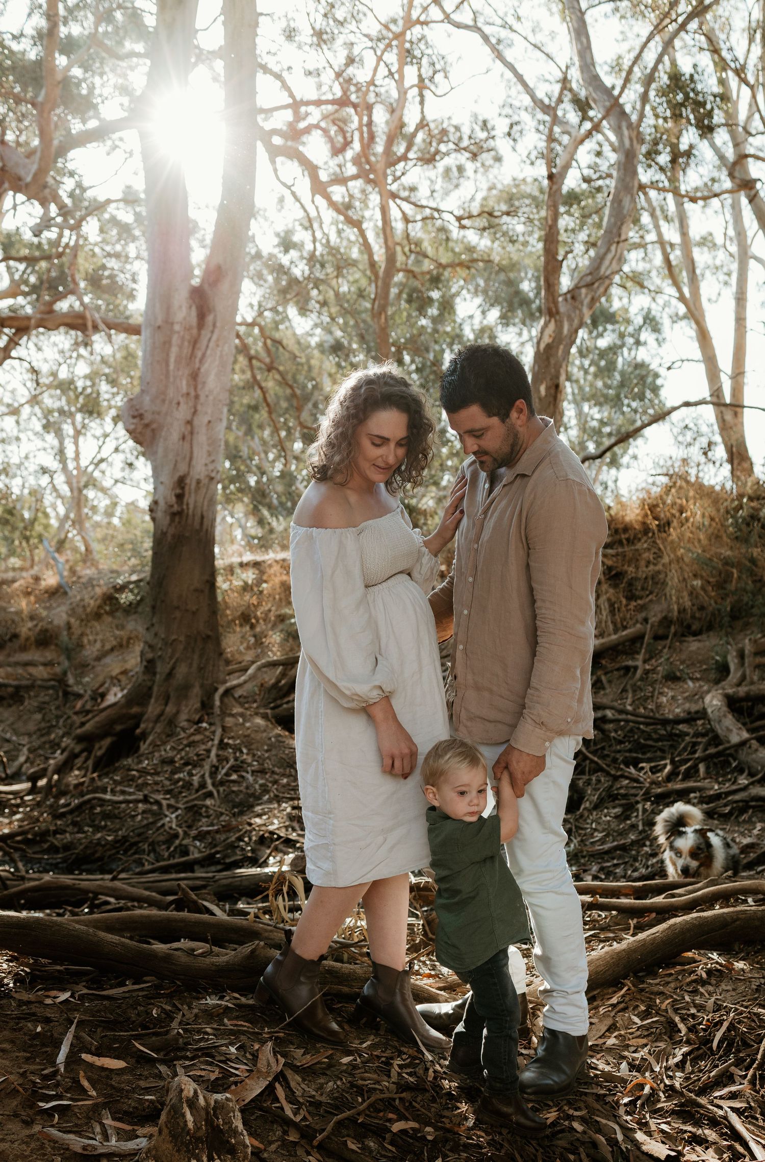 Family portrait in sunlit forest with eucalyptus trees in background.