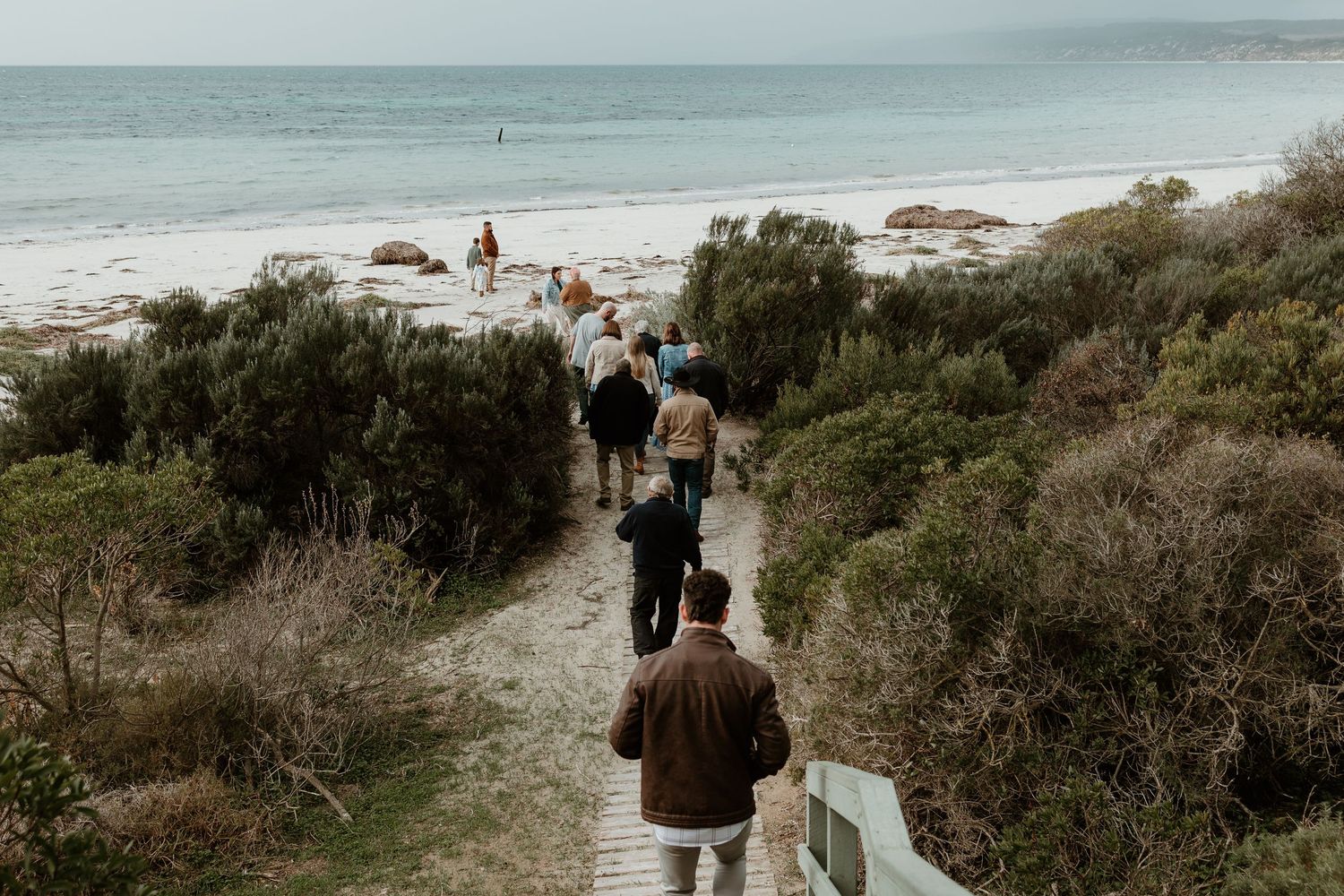People walking down coastal path with ocean views and vegetation.
