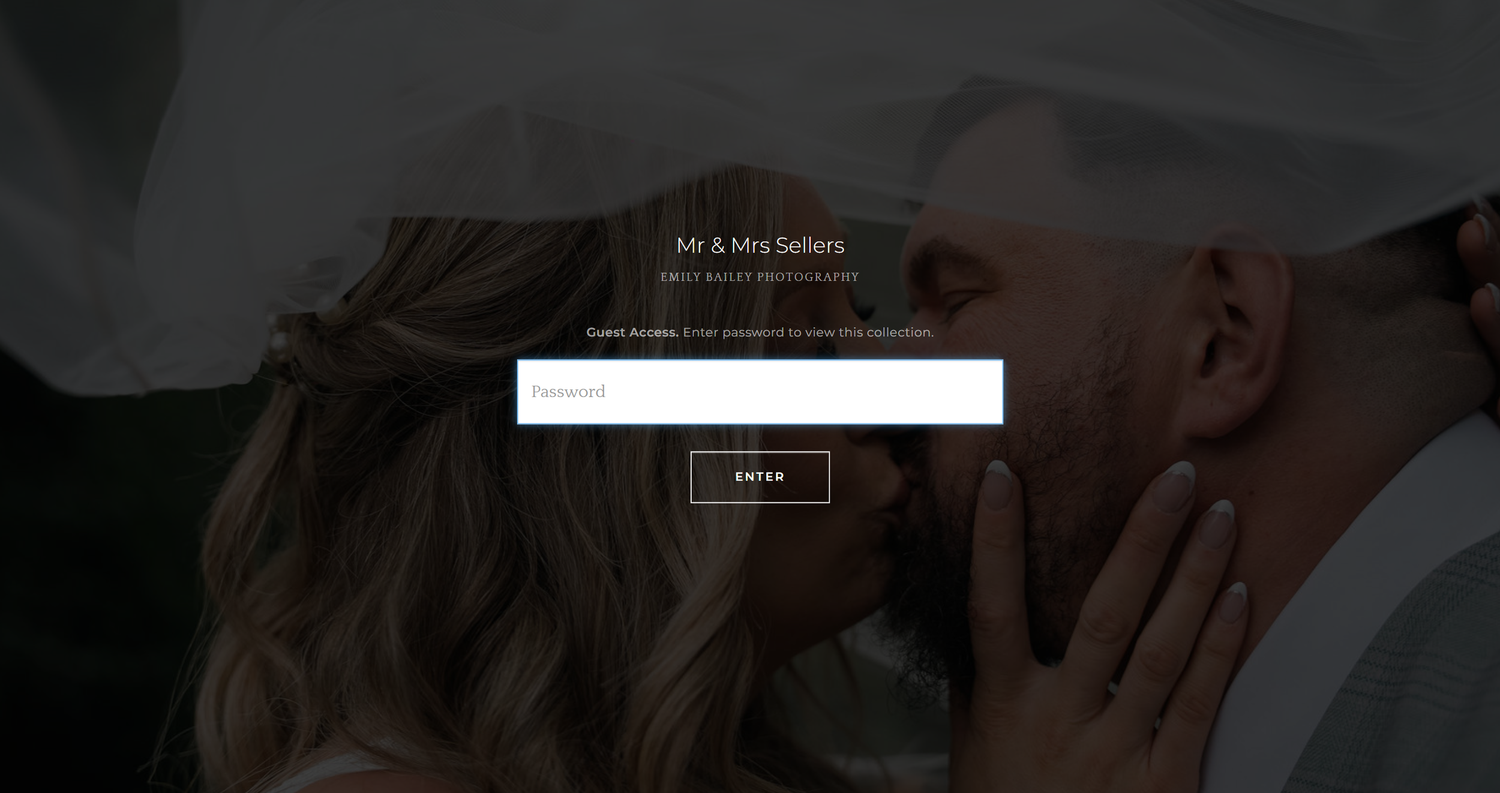 Password protected gallery