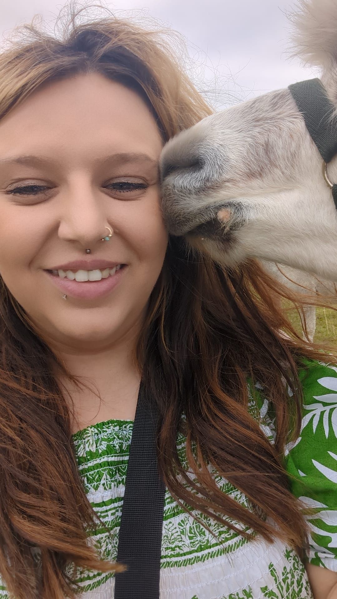 Kisses from an Alpaca!