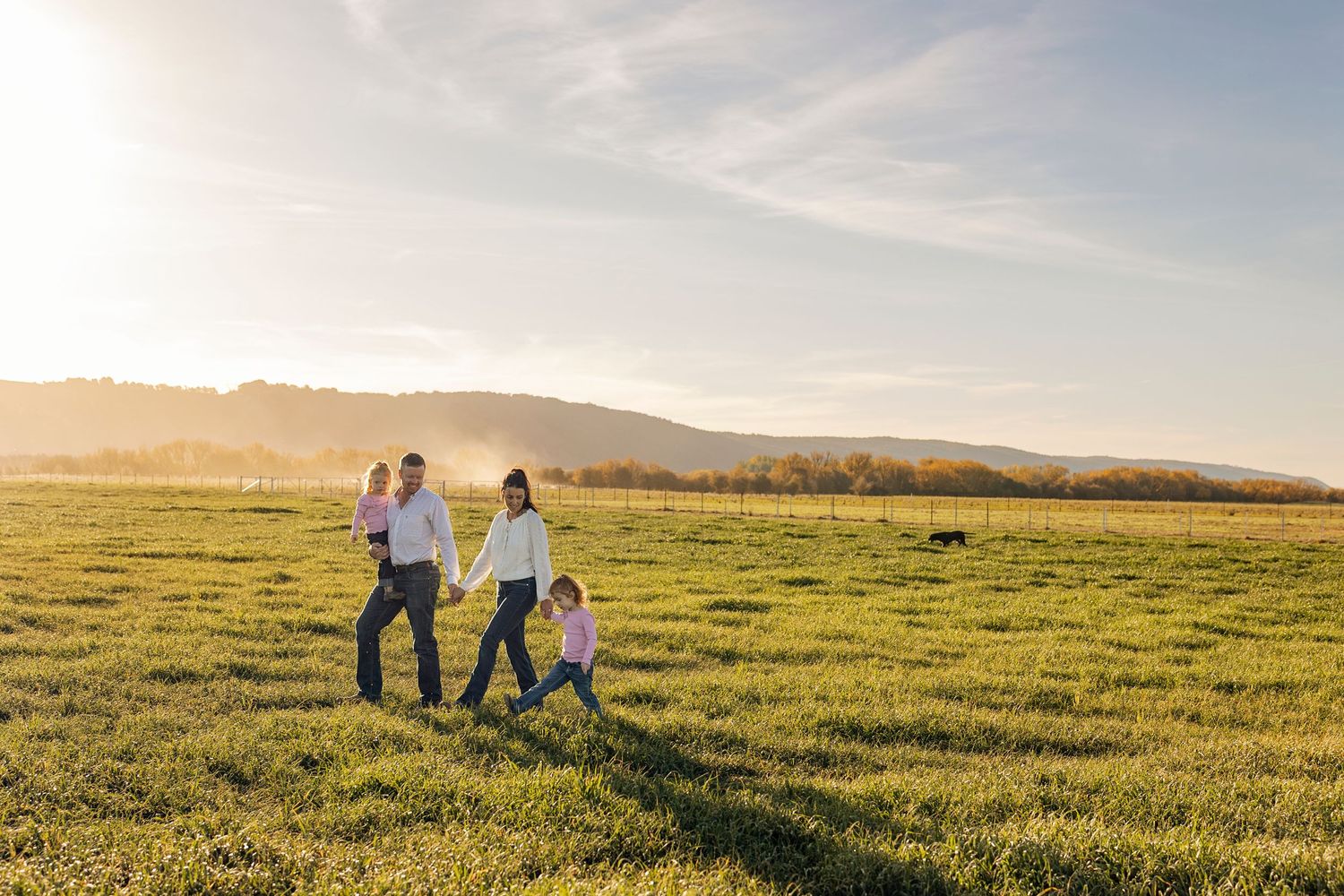 Family walking hand-in-hand across a sunlit green field at golden hour with misty hills in the background.