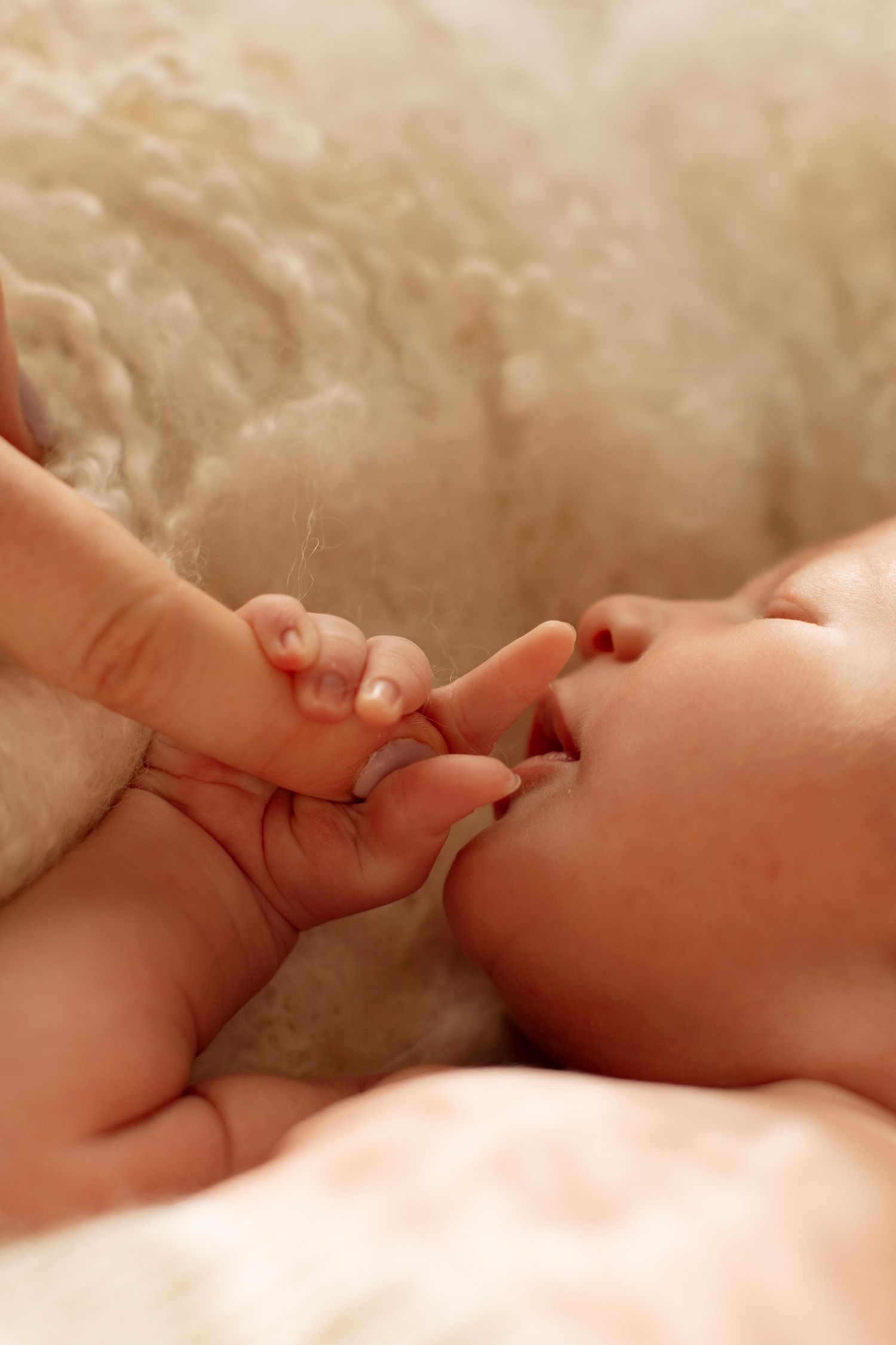 Close-up series of tiny baby fingers and toes against a soft white blanket background.