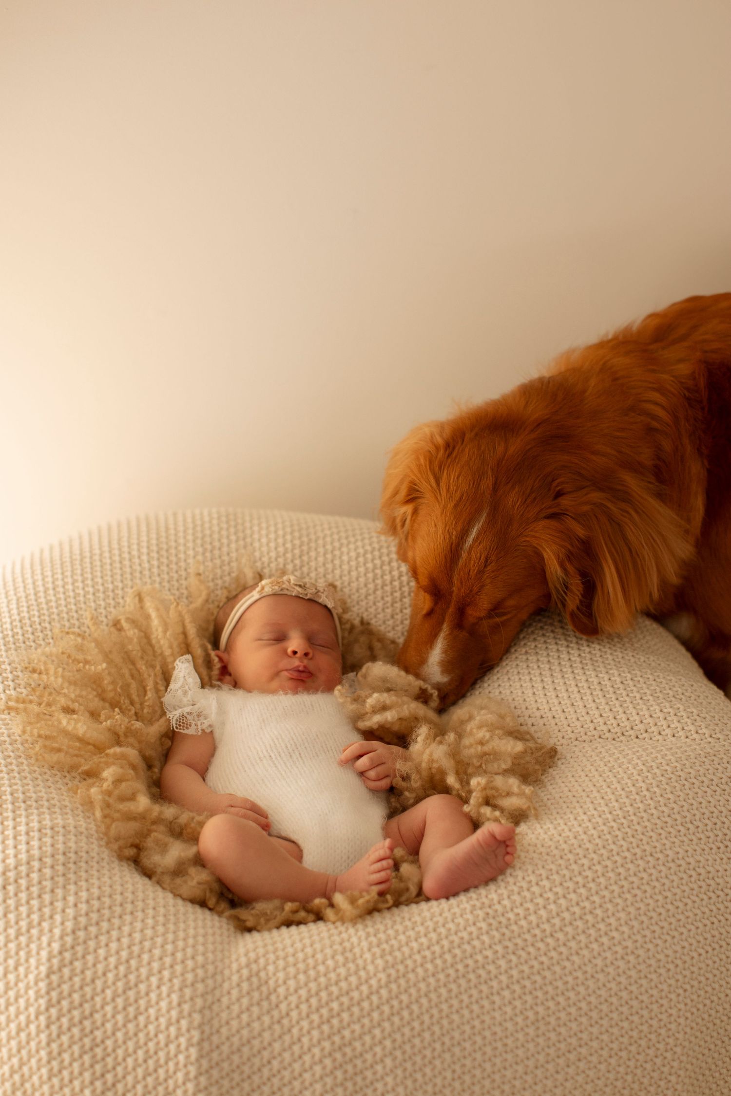 A golden retriever dog lies protectively next to a sleeping baby on a white textured blanket.