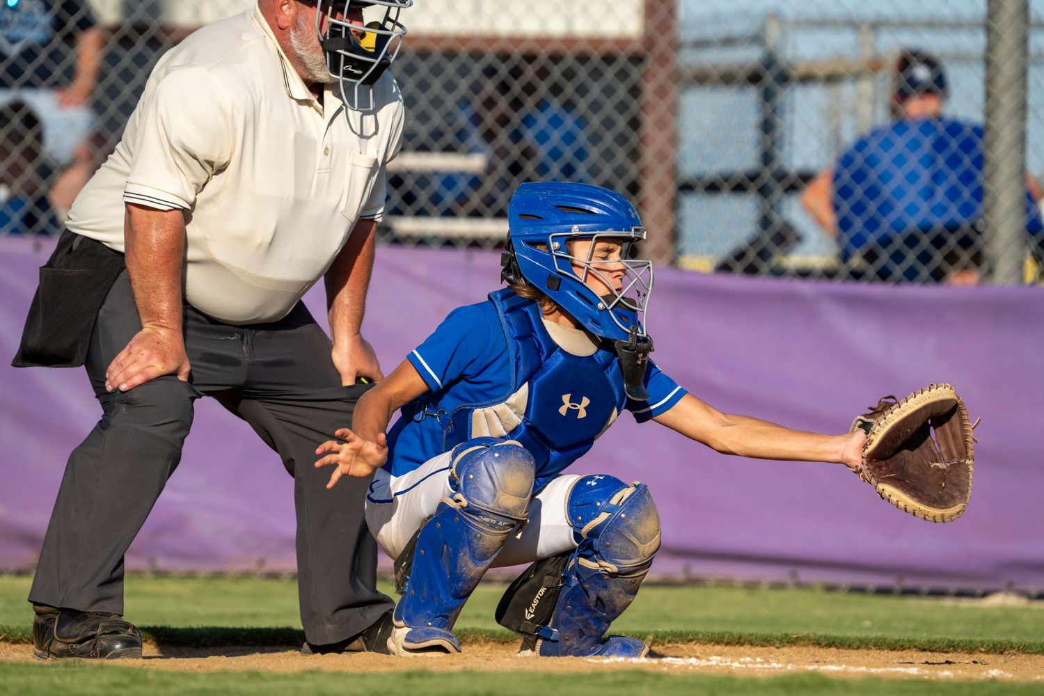 Baseball catcher in blue uniform and protective gear crouches in ready position with mitt extended during game.