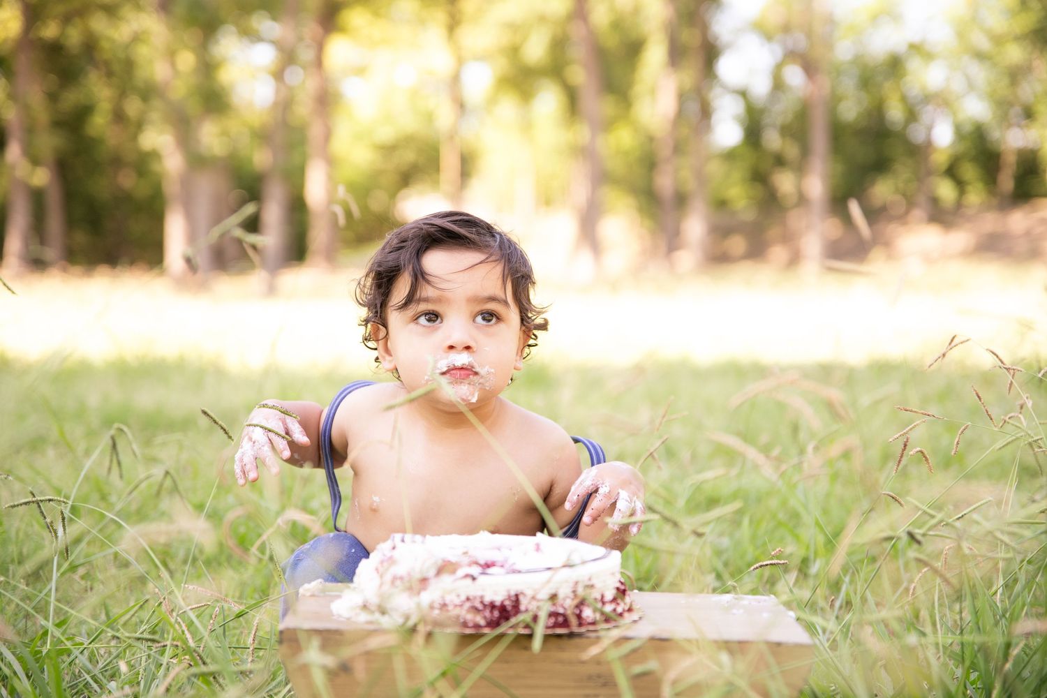 Baby eating cake while sitting in grass during outdoor photo session.