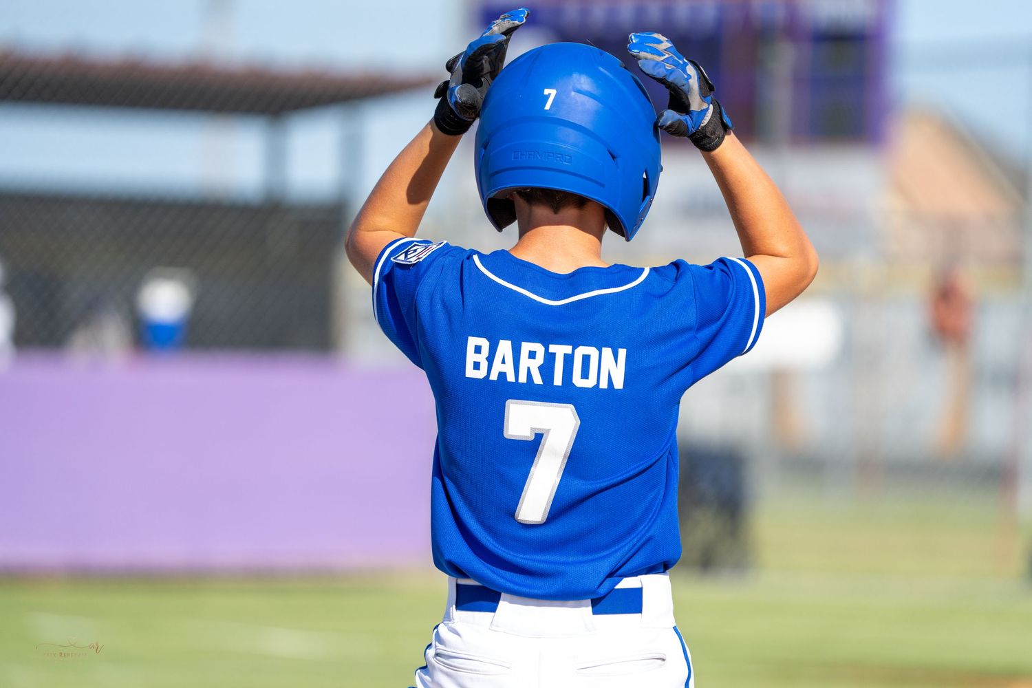 Baseball players in blue uniforms swing bats in practice cages during a training session.