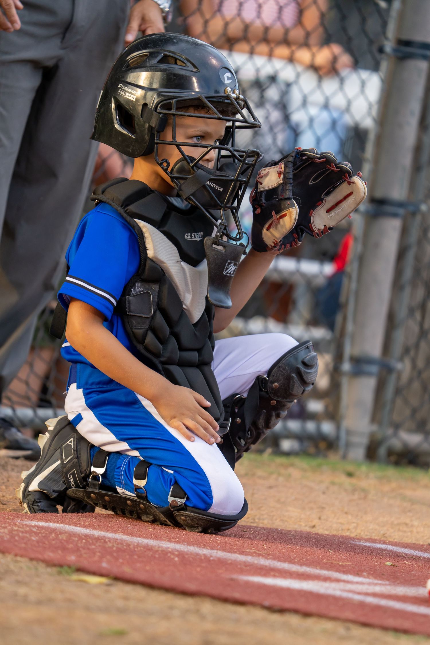Baseball catcher crouches at home plate in protective gear wearing blue and white uniform jersey during game action.