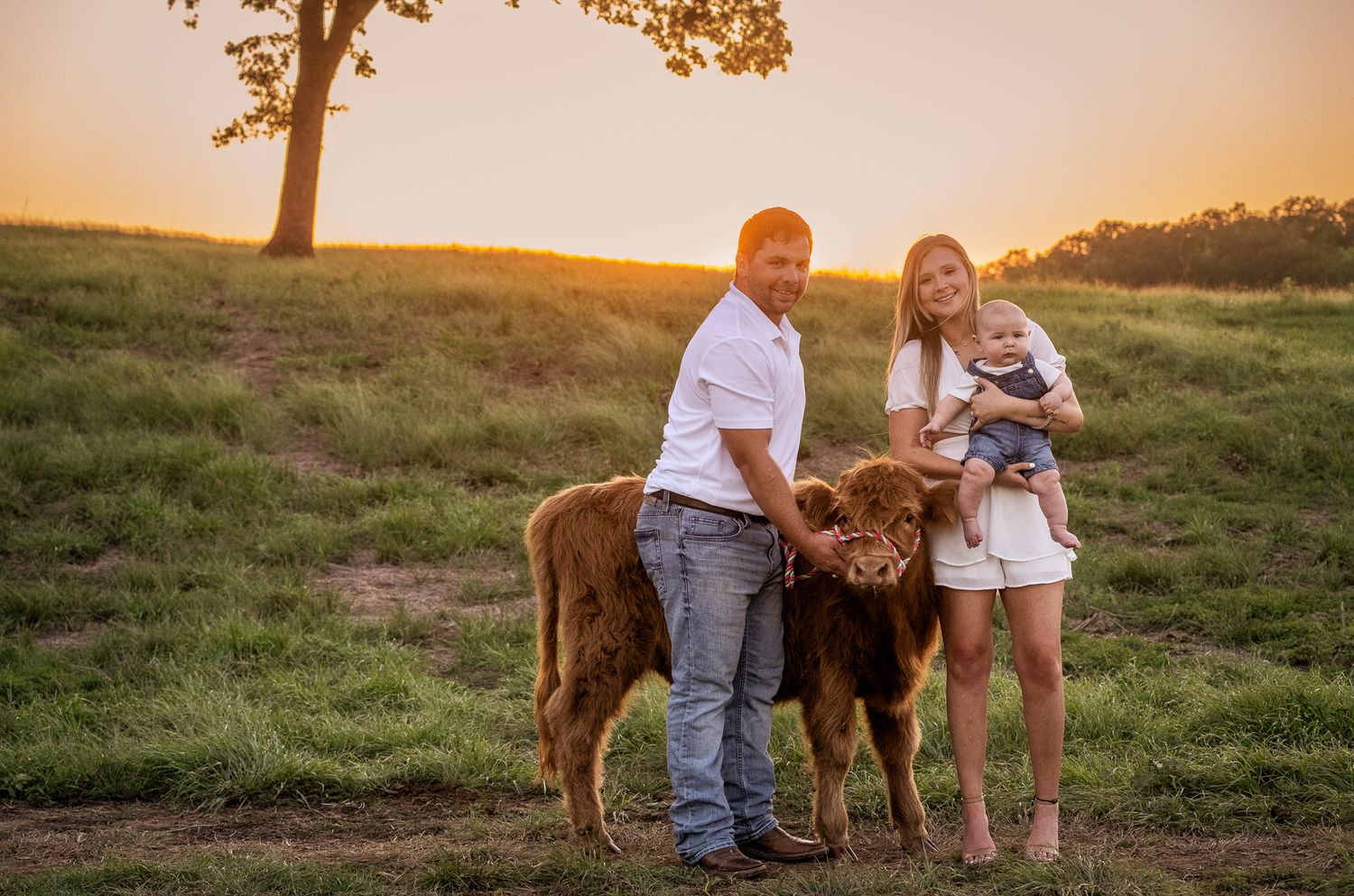 A couple and child stand with a young brown calf in a grassy field at golden hour.