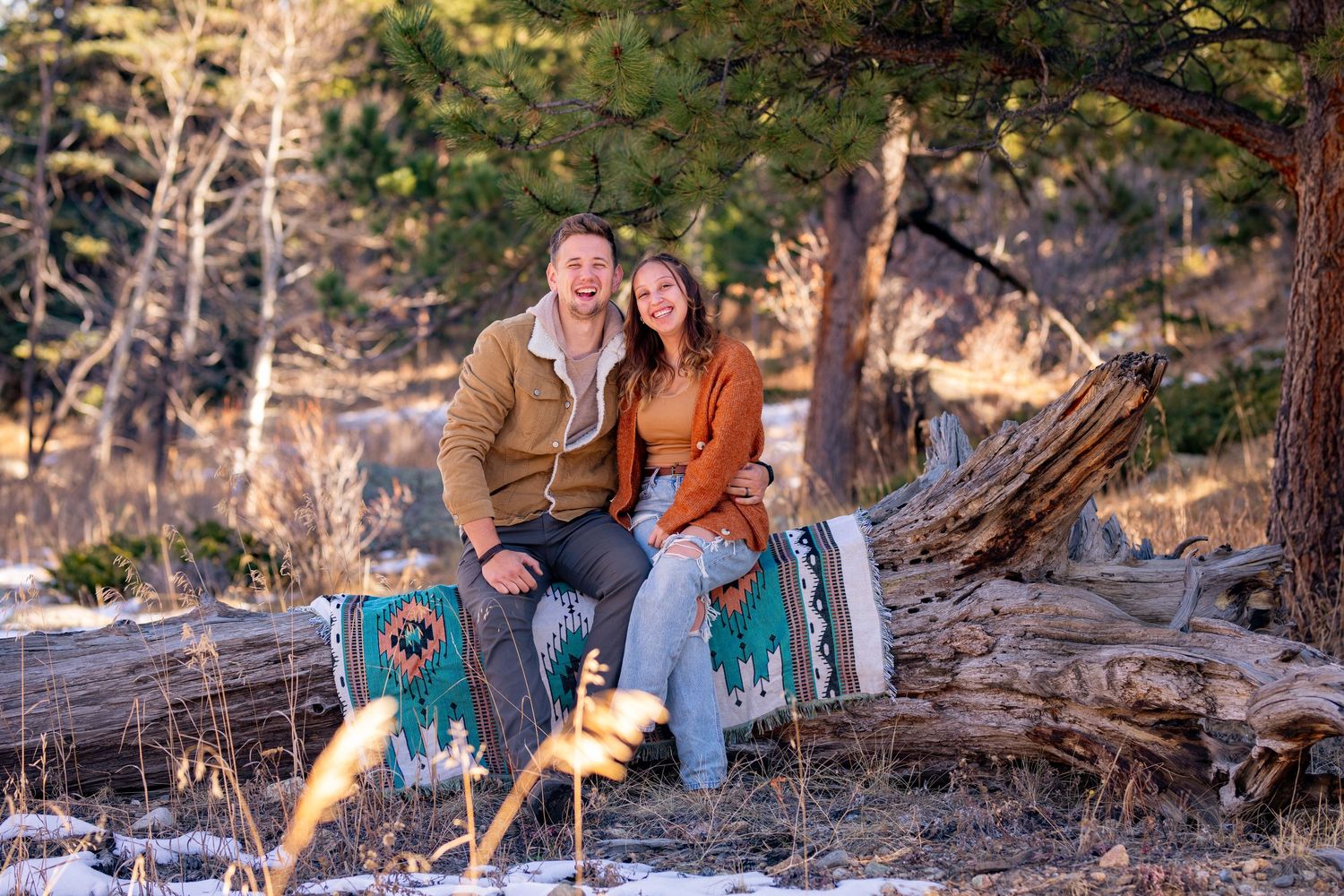 Couple sharing romantic moments while resting on fallen logs in a mountain forest landscape.