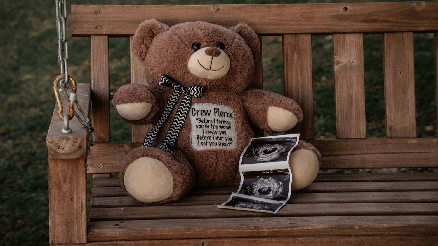 Brown teddy bear sitting on wooden bench holding ultrasound photos in autumn setting.