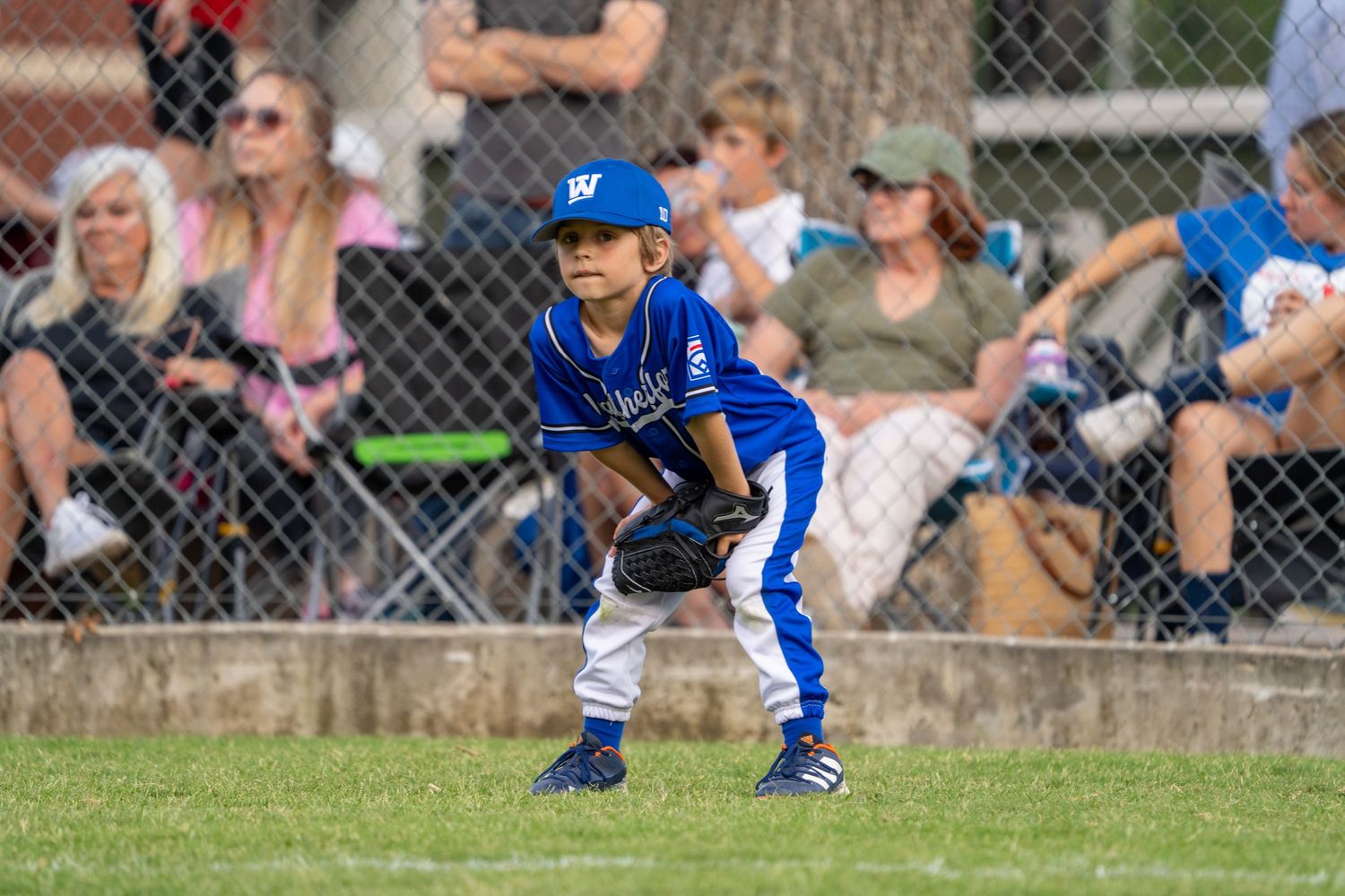 Young baseball player in blue uniform stands ready in fielding position on grass field during youth league game.
