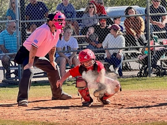Umpire and catcher in protective gear at home plate during baseball game with spectators watching from bleachers.