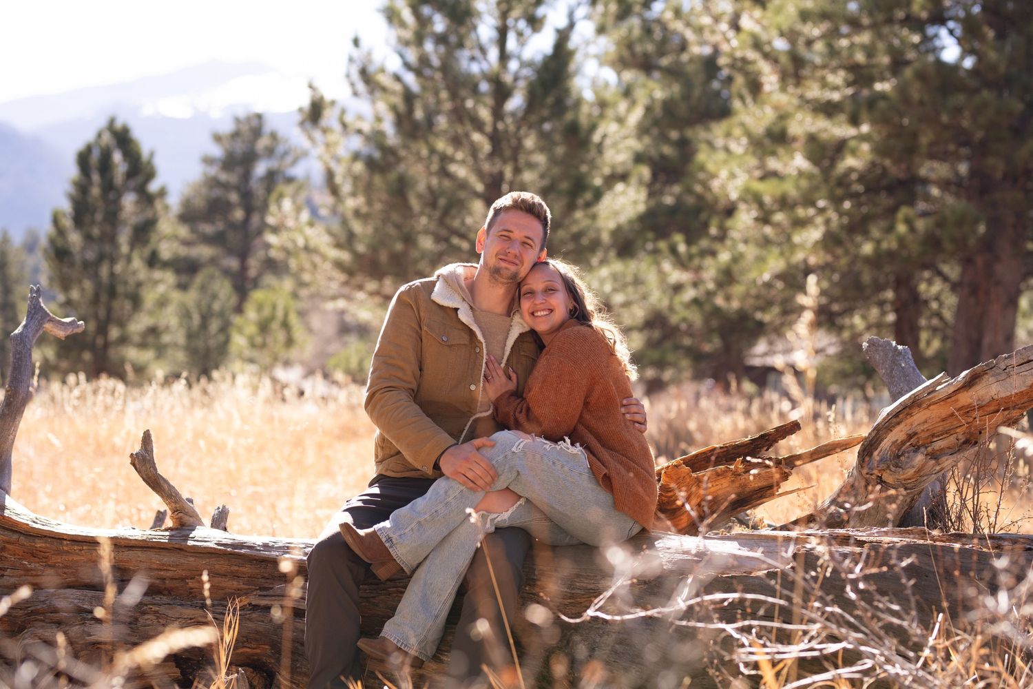 A couple cuddles together while sitting on fallen logs in a scenic mountain forest landscape on a sunny day.
