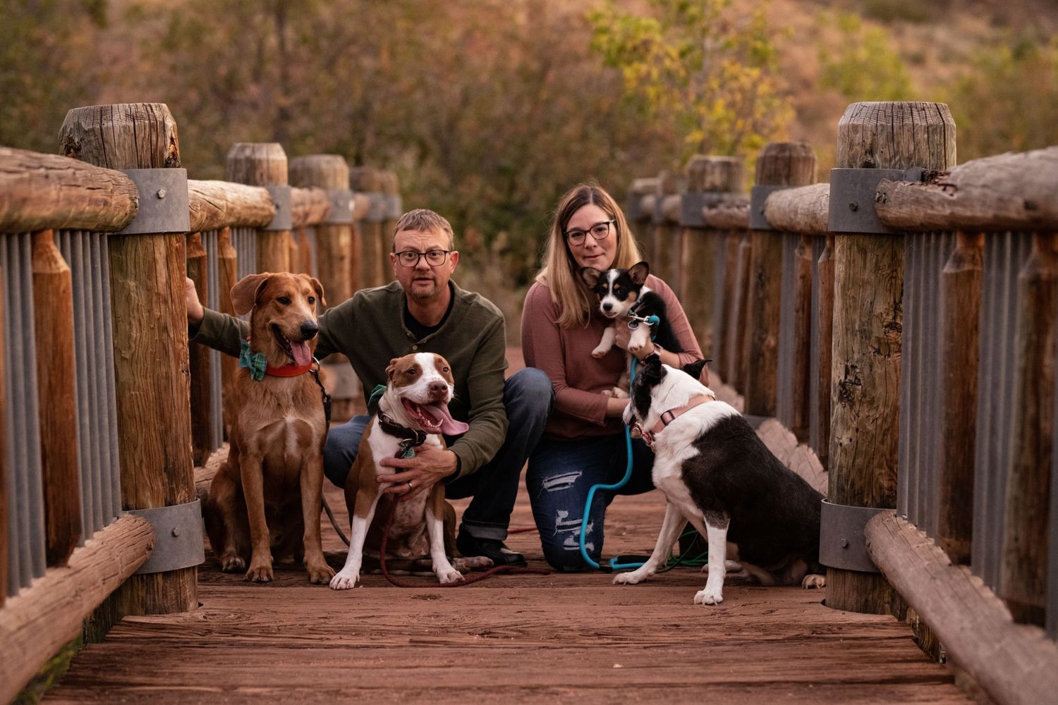 Family poses with their four dogs on a wooden bridge during outdoor photo session.
