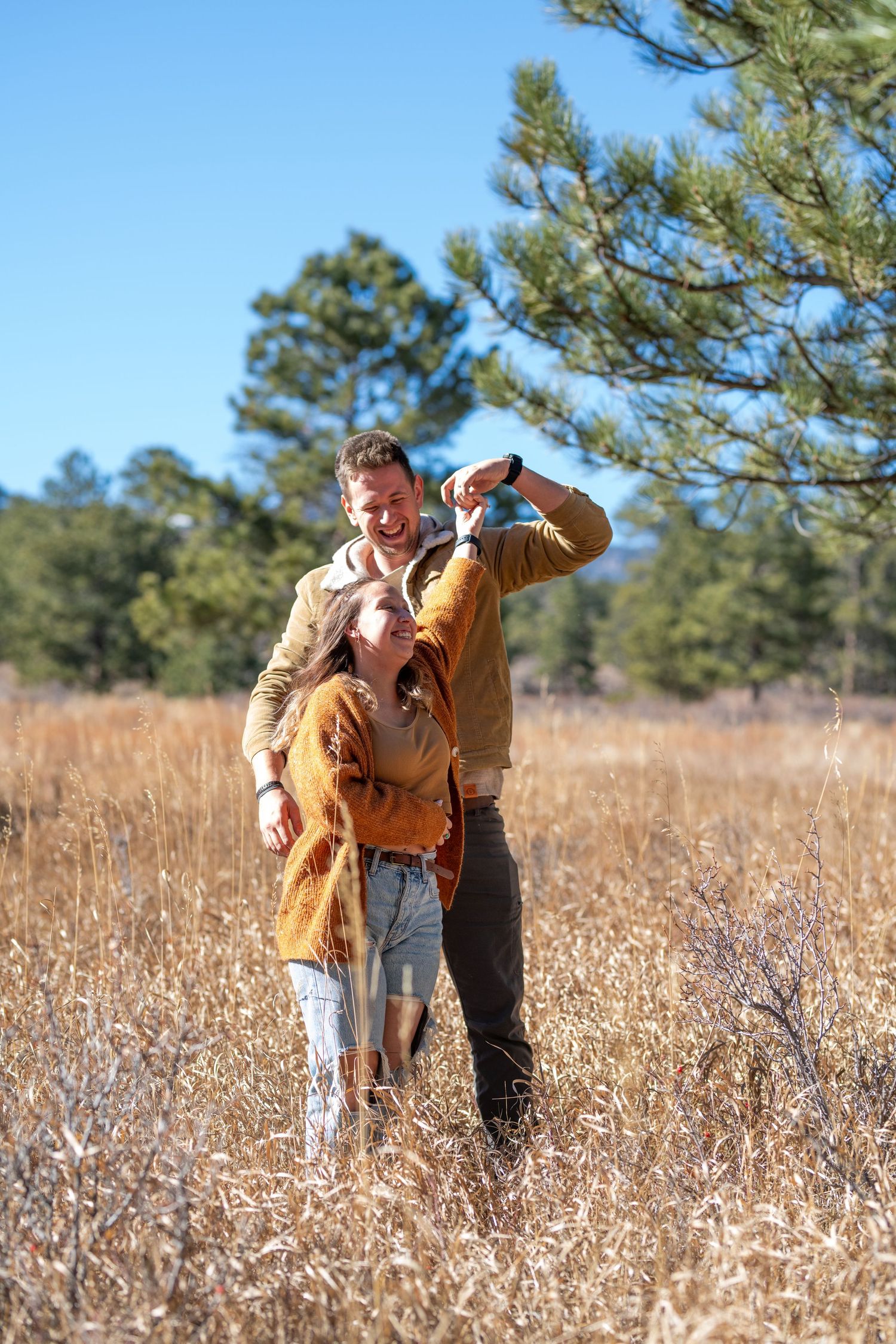 A playful outdoor scene in a field with brown grass and pine trees on a sunny autumn day.