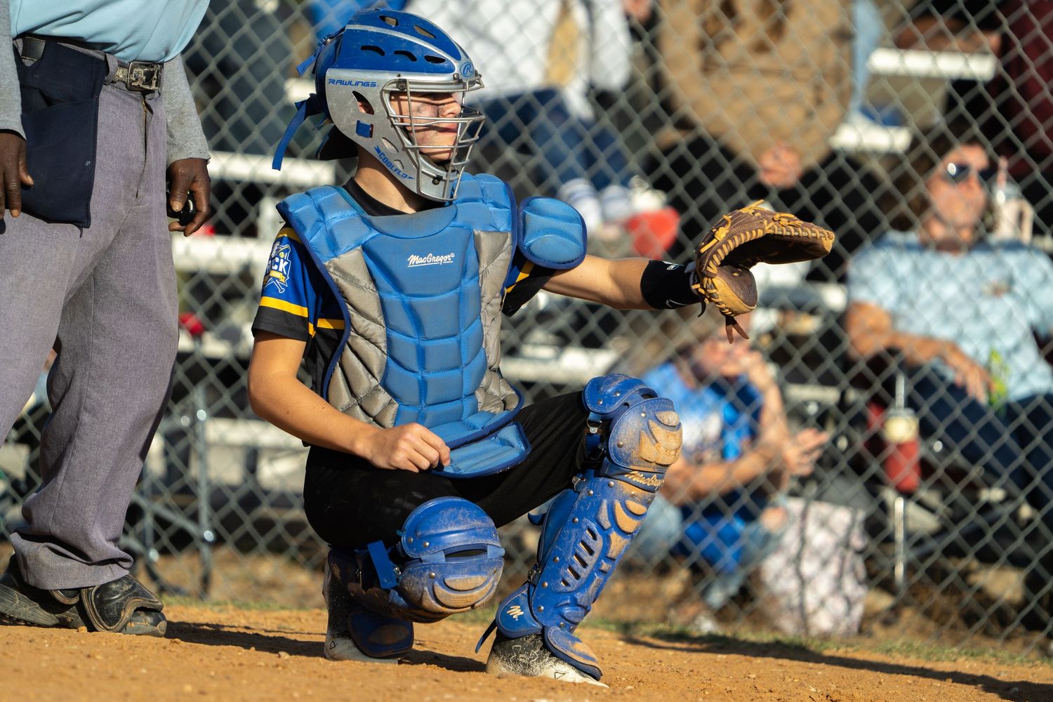 Youth baseball catcher in bright blue gear crouches behind home plate during a sunny game.