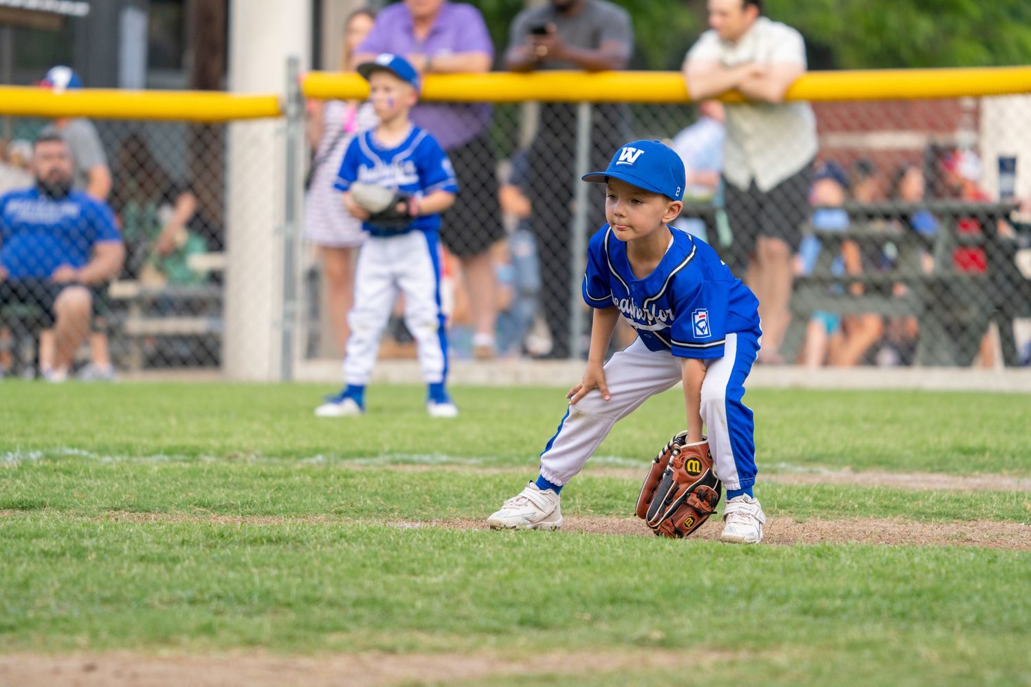 A young baseball player in a blue uniform crouches ready to field a ground ball during a youth league game.
