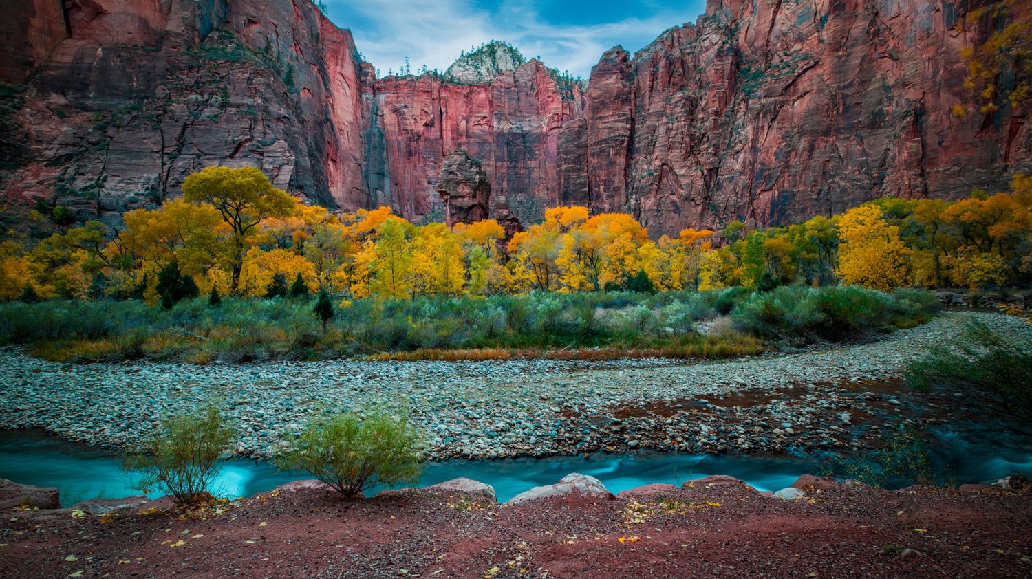 Panoramic view of red rock cliffs with yellow fall foliage and turquoise river running through canyon. Zion National Park