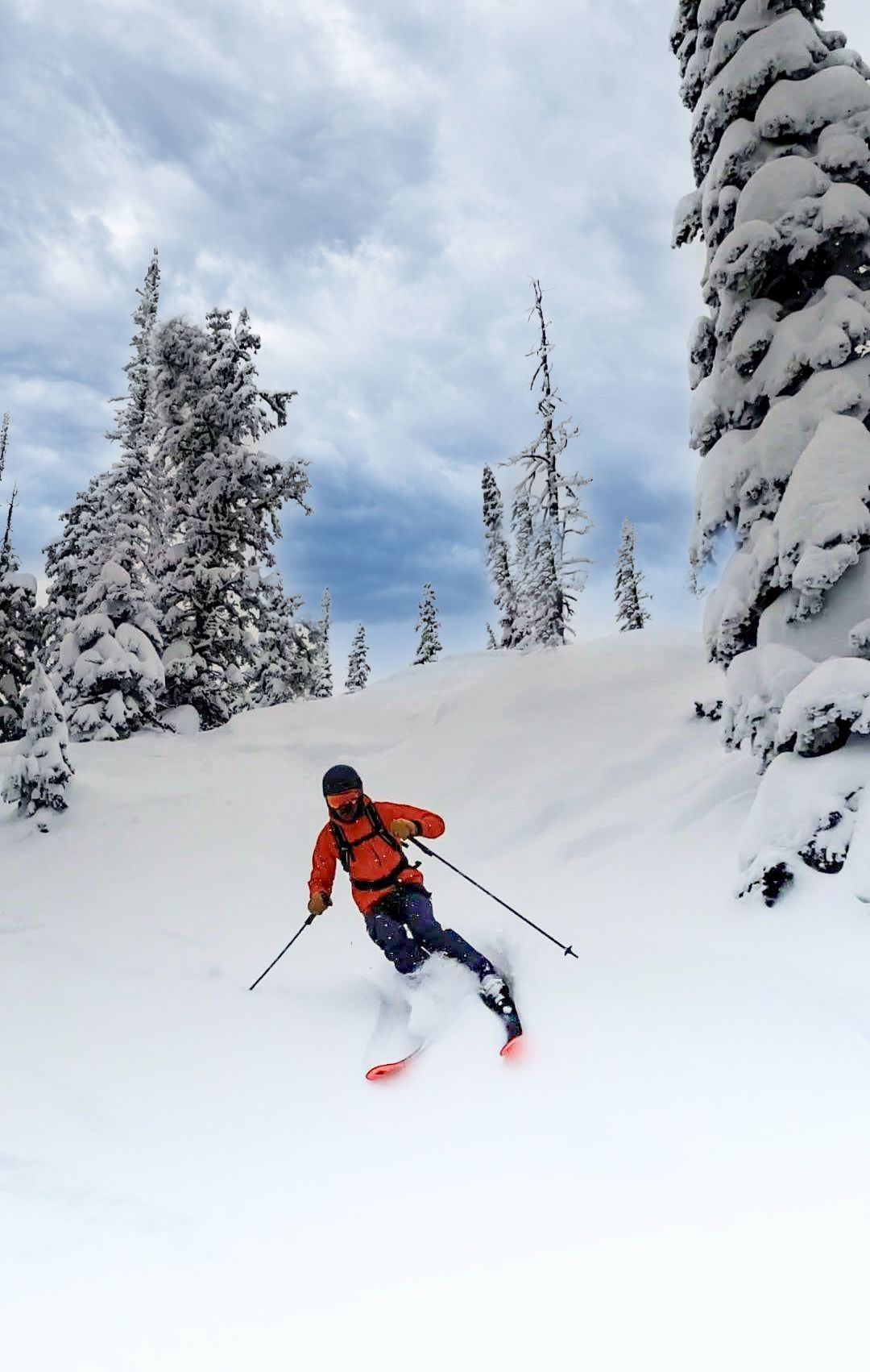 Skier carving through deep powder snow between snow-covered evergreen trees.