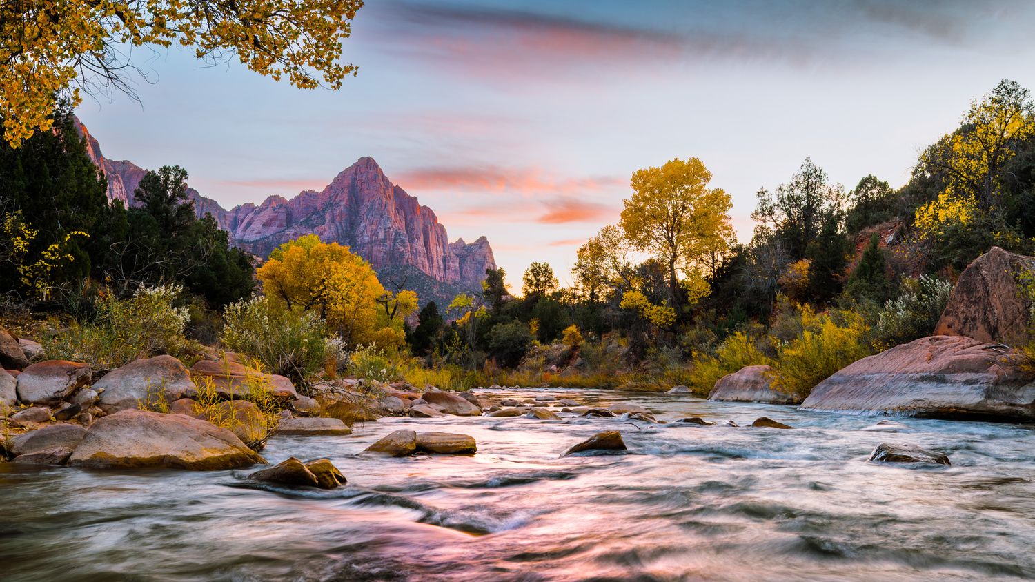 Mountain river rapids flowing through autumn landscape with colorful foliage. Zion National Park. The Watchman.