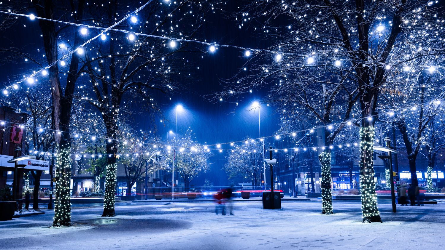 Winter park illuminated with blue string lights creating a magical nighttime scene.