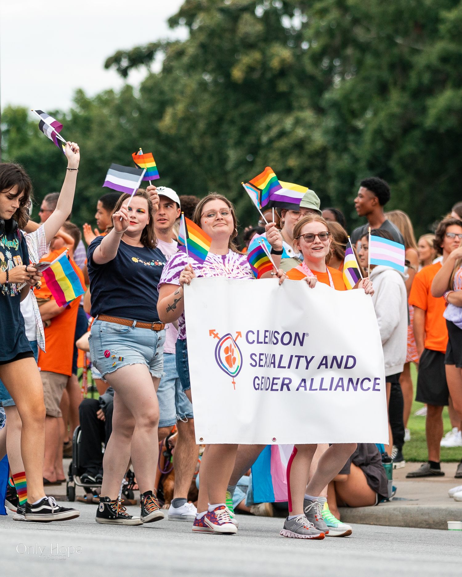 A group of people marching in a Pride parade carrying rainbow flags and a Clemson sexuality alliance banner.