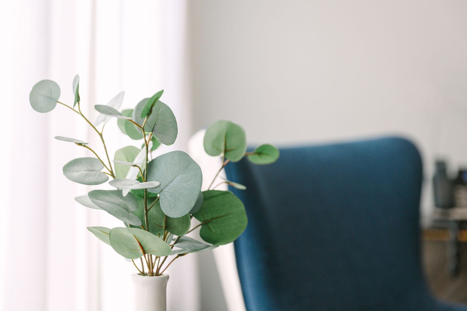 Fresh eucalyptus leaves in white vase next to blue armchair by window.