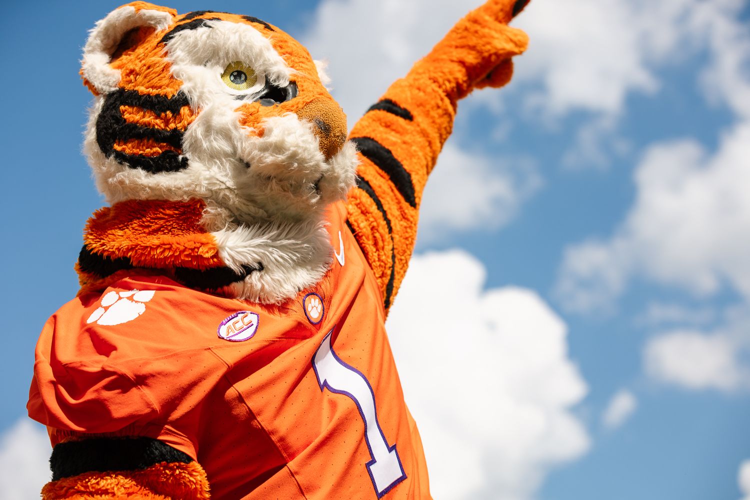 An enthusiastic sports mascot in a tiger costume wearing an orange jersey points upward against a blue sky background.