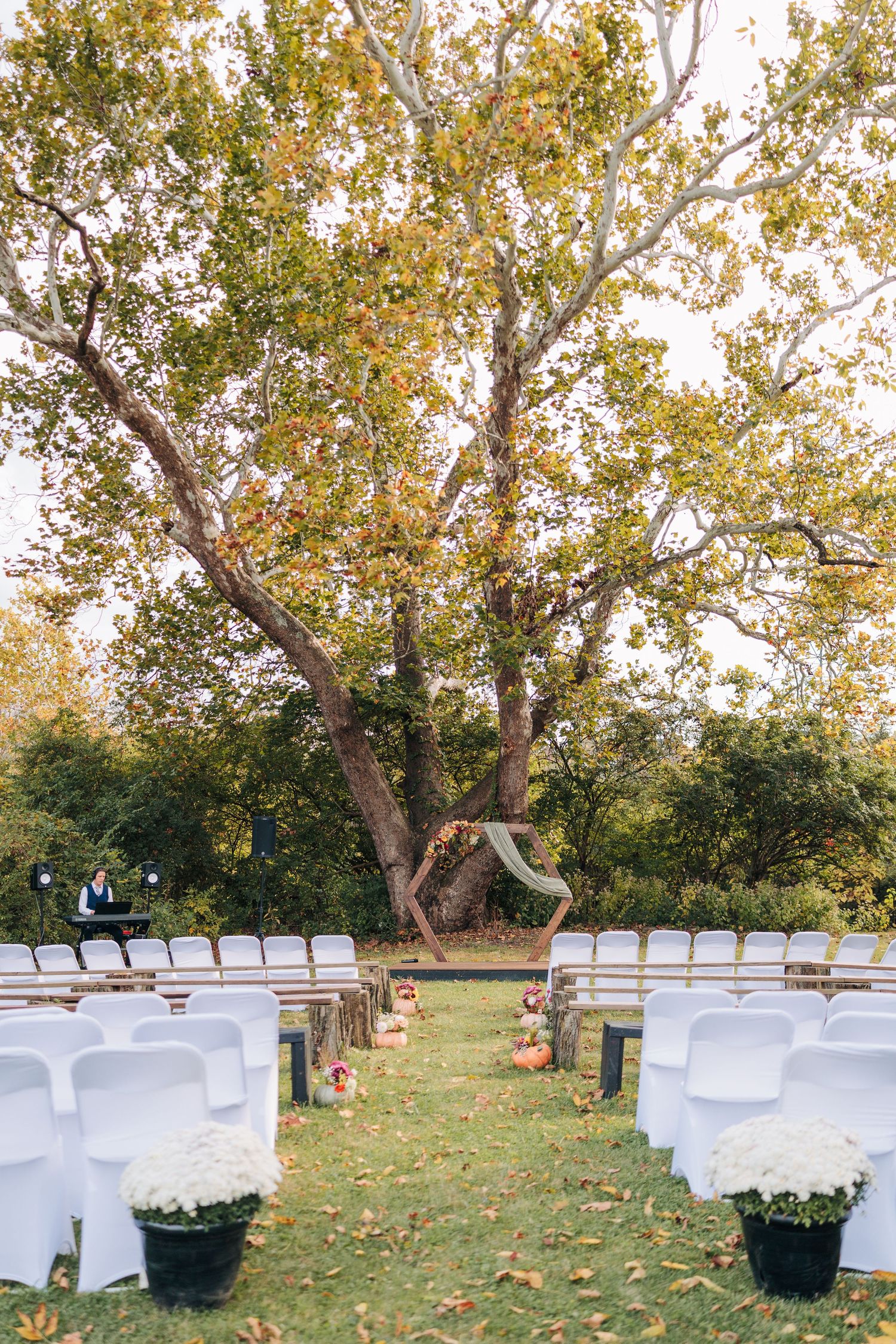 White chairs arranged for an outdoor autumn wedding ceremony under large trees with fallen leaves.