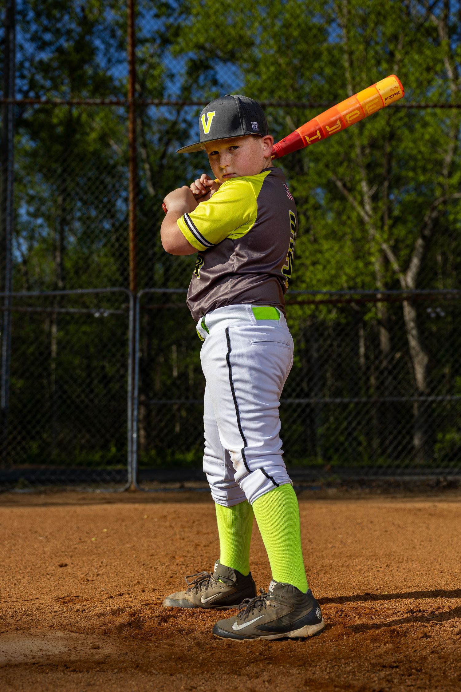 Dynamic Baseball Portrait