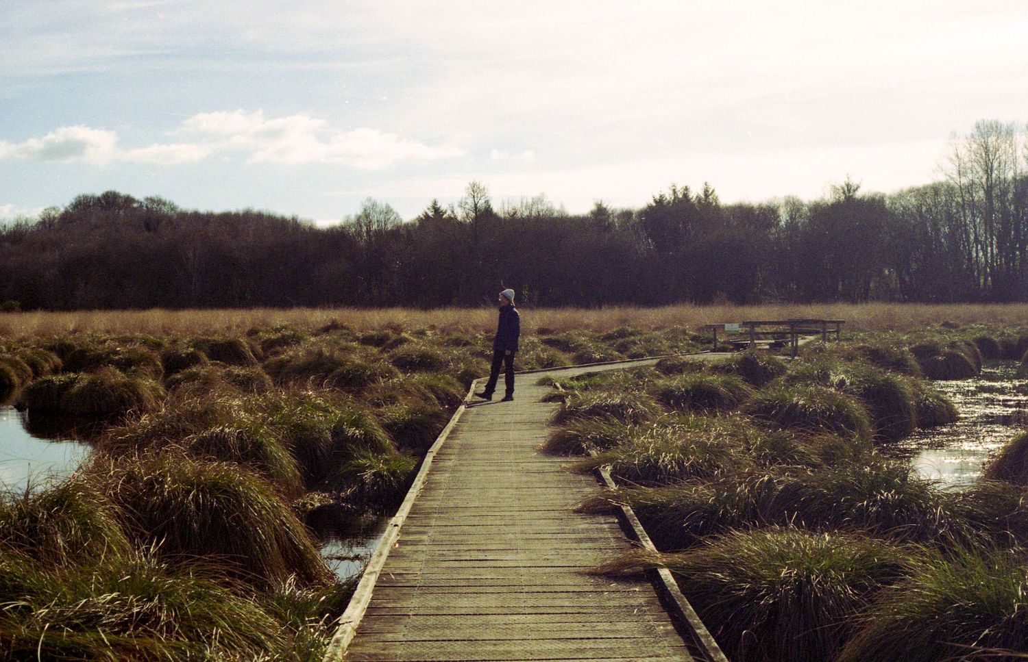 Photo argentique d'un chemin en bois au milieu d'un environnement naturel sauvage. Une personne est placé au loin au centre de ce chemin.