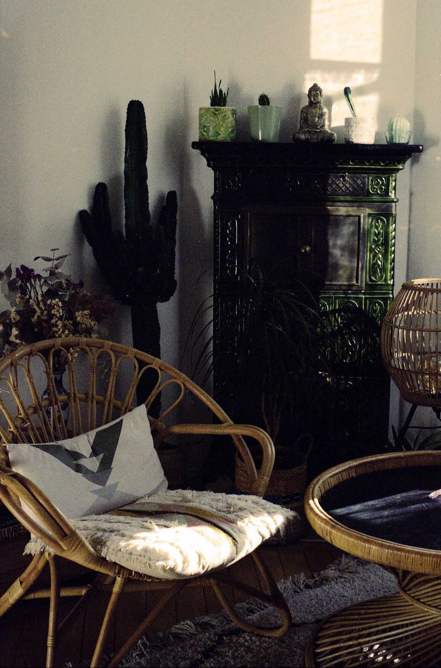 Photo argentique d'un intérieur d'appartement décoré avec soin avec une cheminée ancienne verte foncé, un cactus et une chaise en rotin
