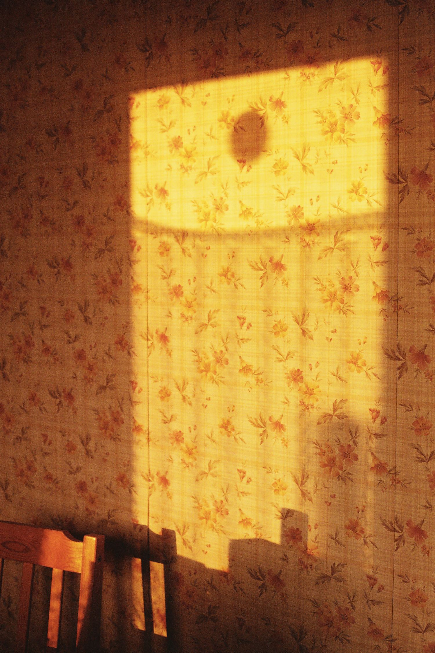 Photo argentique d'une zone rectangulaire illuminée sur un papier peint vintage floral à la golden hour