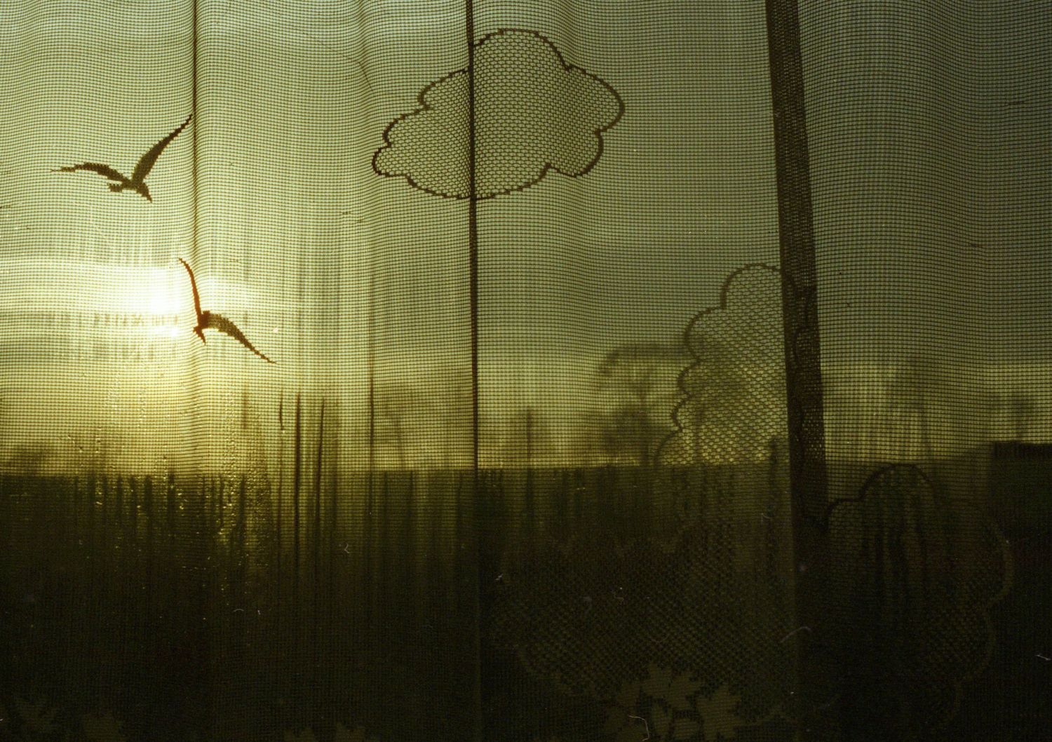 Photo argentique d'un paysage de campagne pris à travers la vitre d'une fenêtre ornée de rideau en dentelle