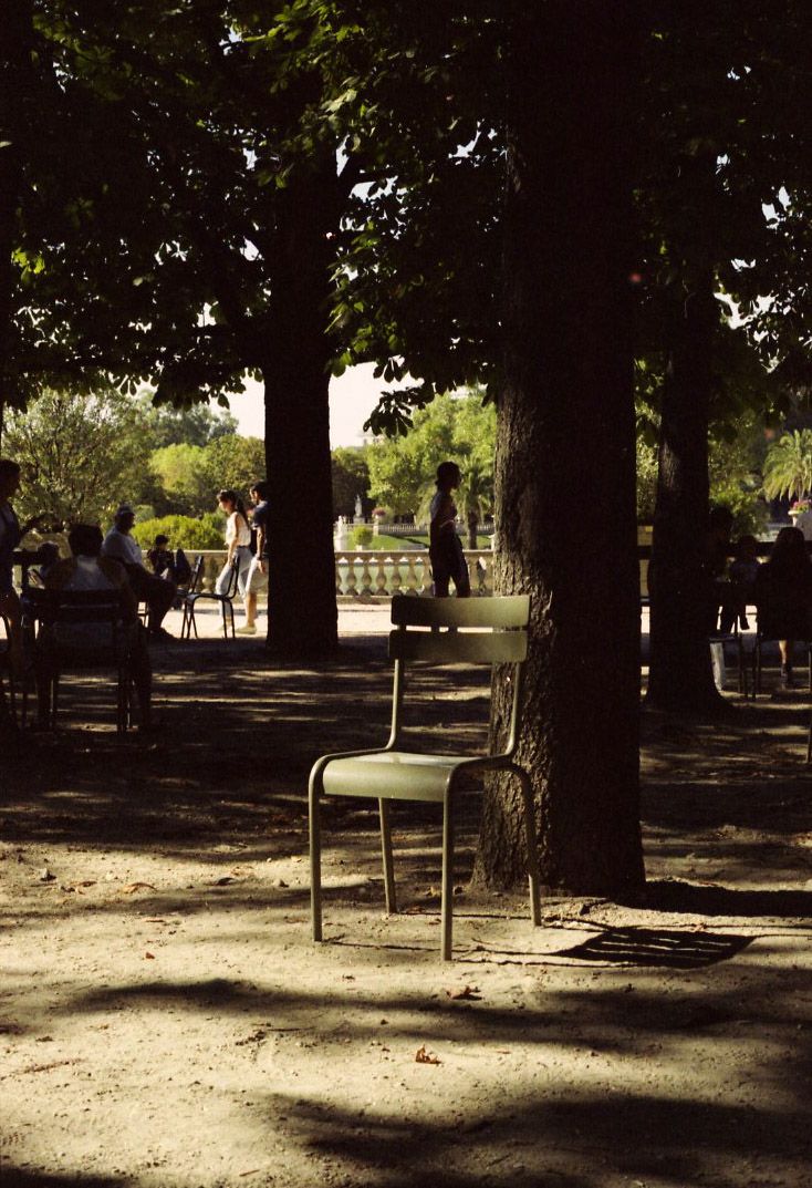 Photo argentique d'une chaise métallique vide placée au milieu d'un jardin public ombragé.