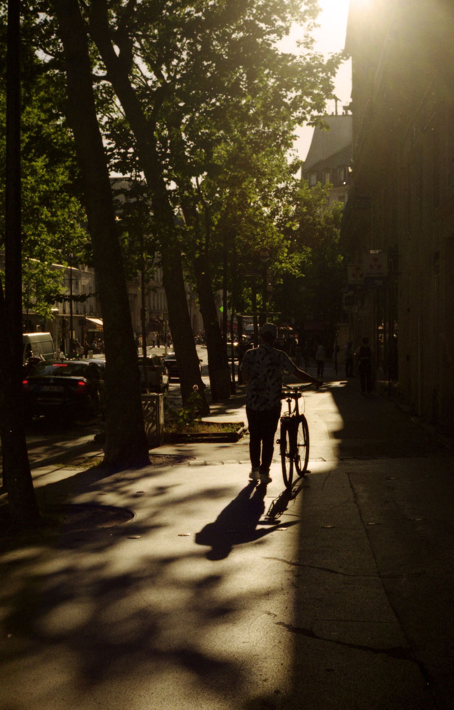 Photo de rue argentique d'une personne marchant avec son vélo sur le trottoir en contre-jour