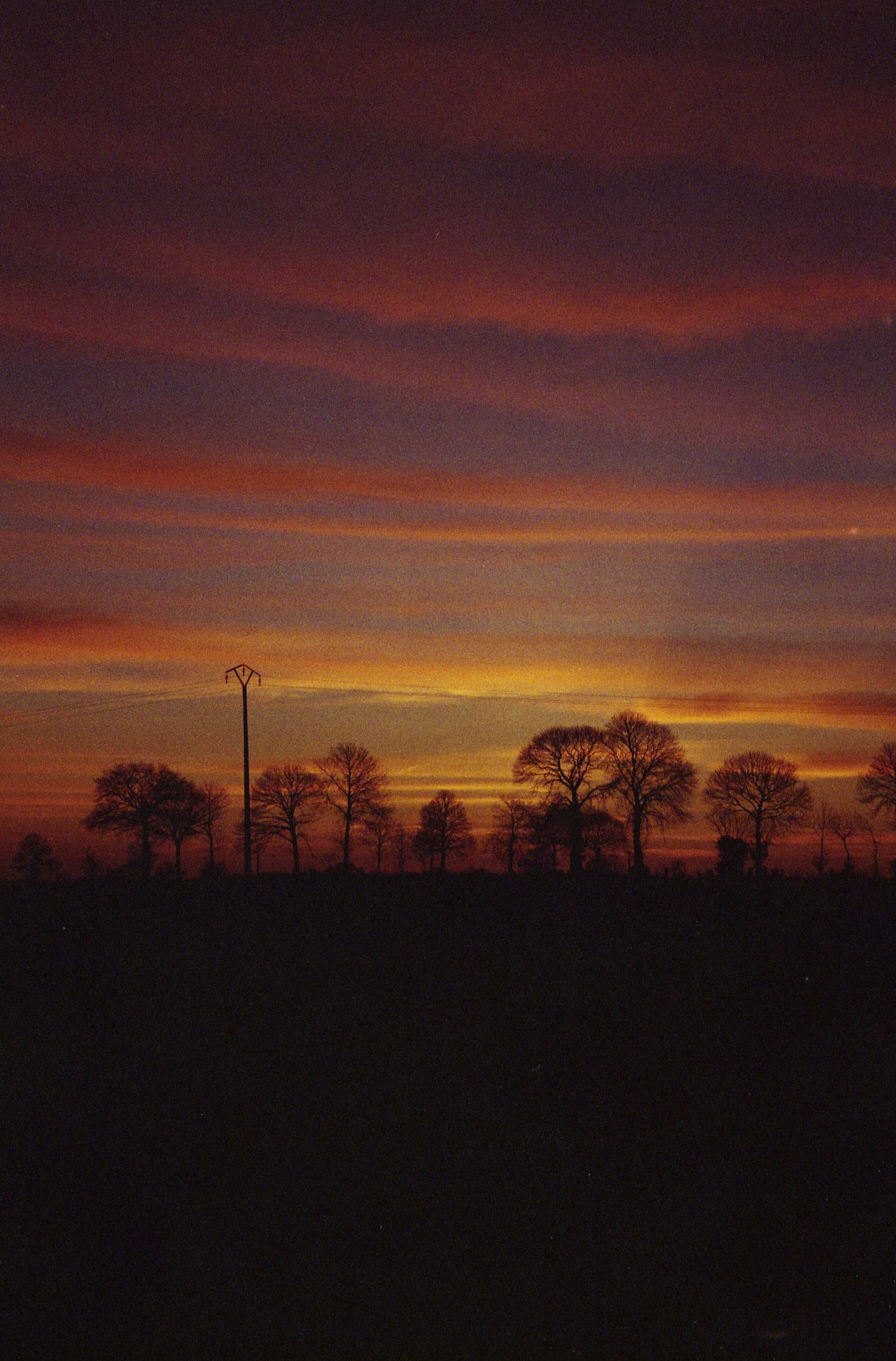 Photo argentique d'une silhouette de la ligne d'horizon et des arbres devant un ciel bleu, rouge et orangé avant le crépuscule