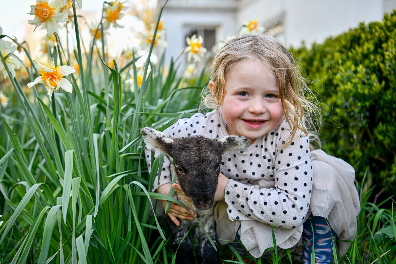 Spring joy