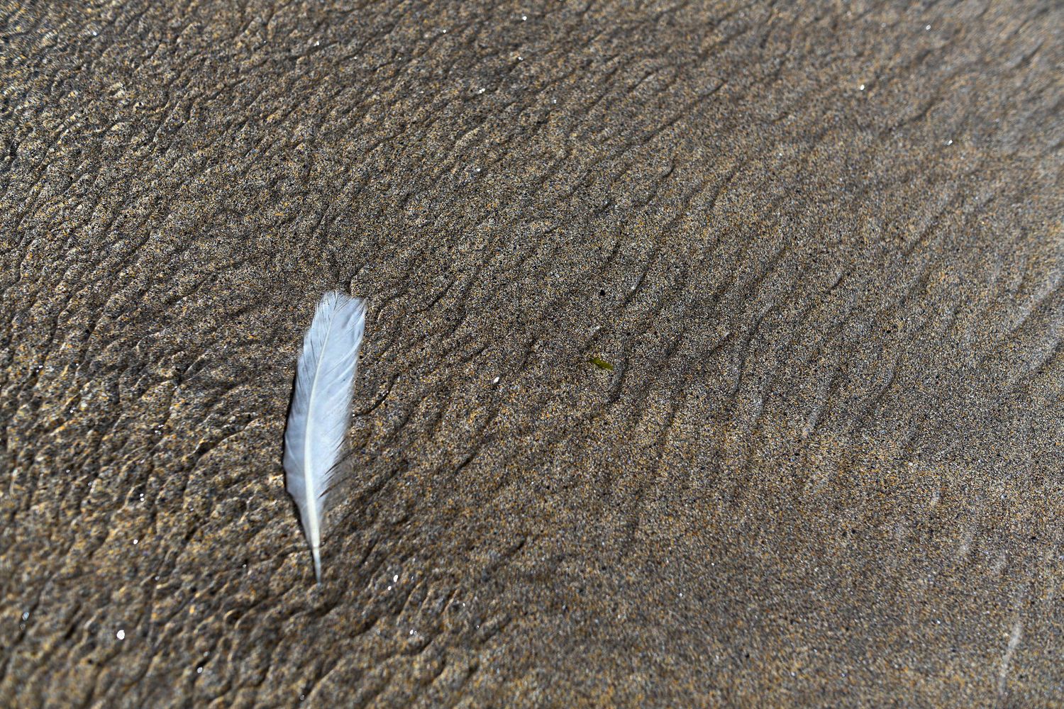 Textured grey slate rock surface with natural patterns and grooves.
