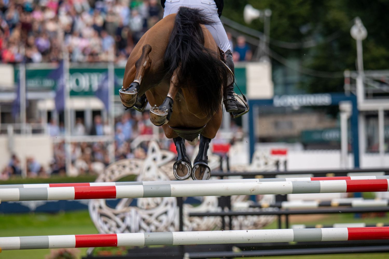 Horse and rider gracefully clearing a white and red showjumping fence during an equestrian competition.