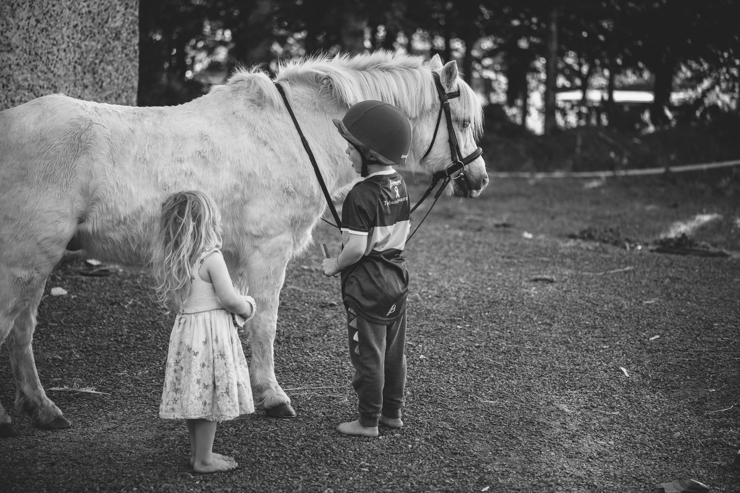 Vintage black and white photo of children with a white horse in a field.