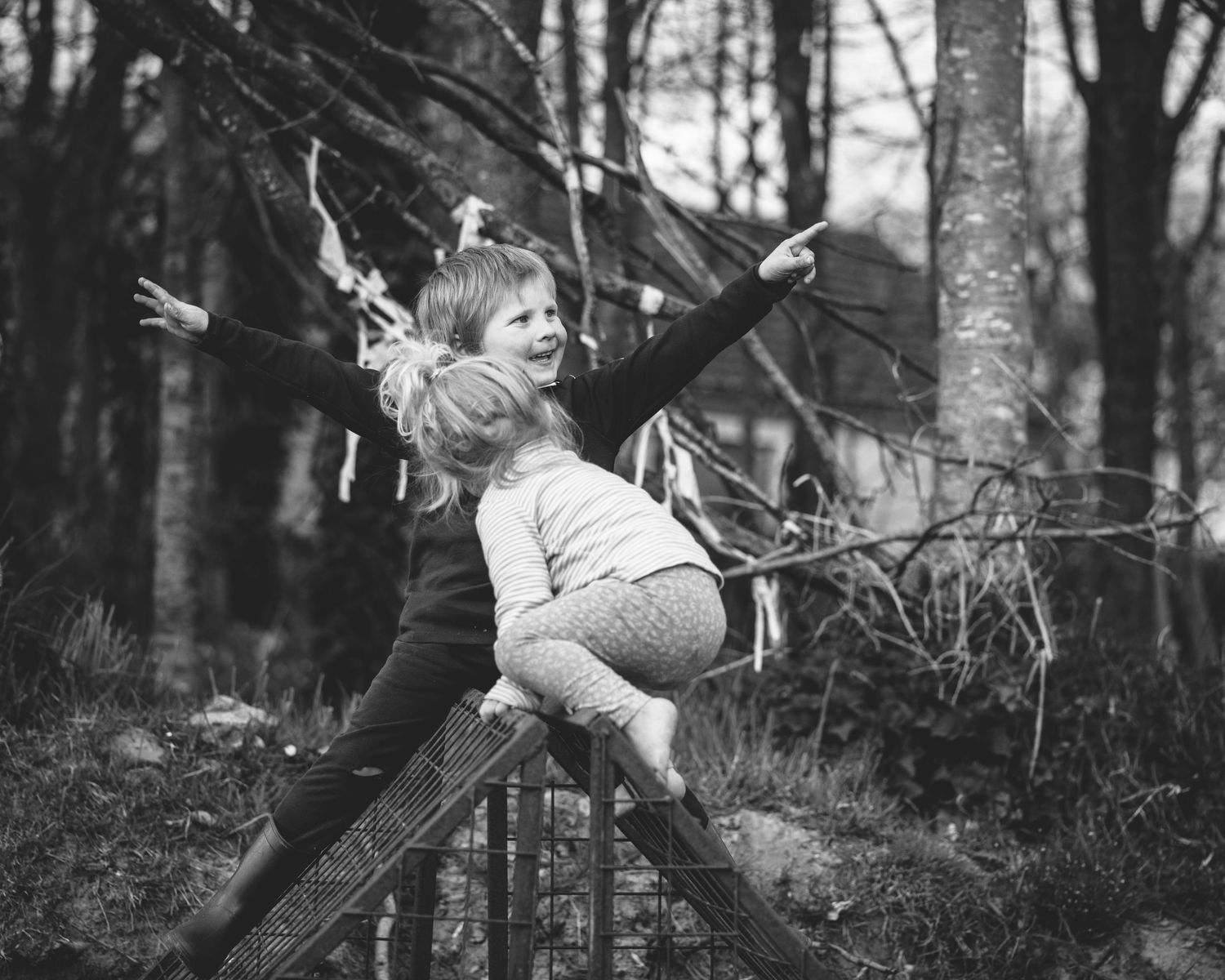 Two people playing and balancing on fallen tree trunks in a forest setting.