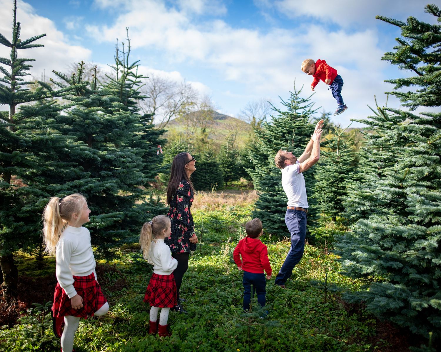 Family playing among evergreen trees with someone being lifted high in the air.