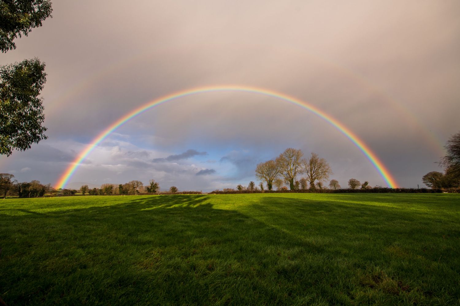 Complete double rainbow stretches across rural countryside with trees silhouetted on the horizon.