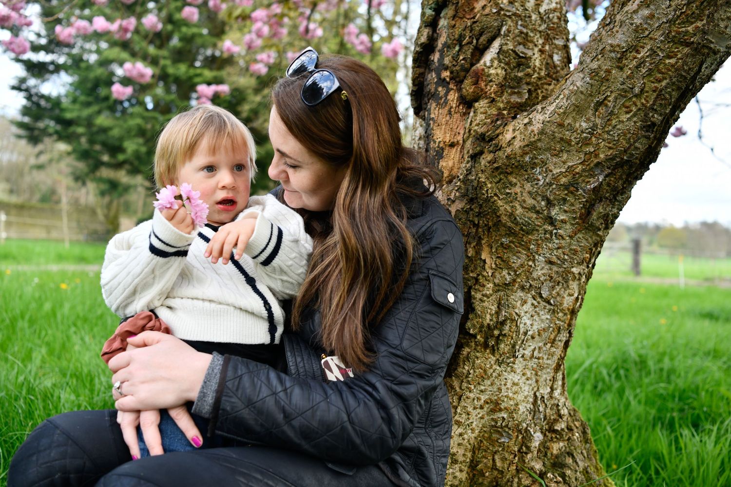 Family enjoying a springtime moment together under a blooming cherry tree in a lush green field.