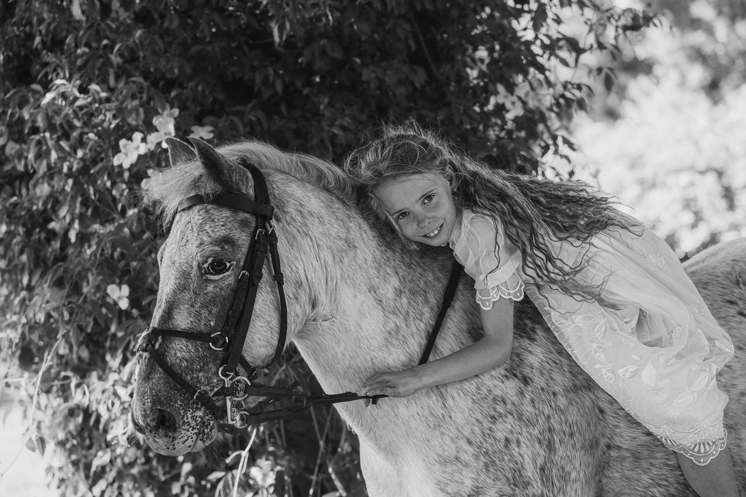 Vintage black and white photo of person lying on white horse.